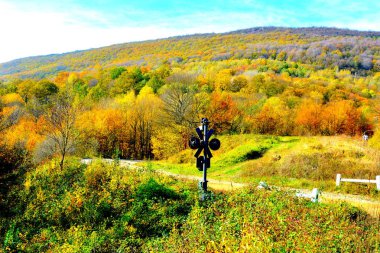 Sonbaharda Transilvanya ormanlarındaki tipik manzara. Romanya 'nın Banat kentinde Oravita ile Anina arasındaki demiryolu.