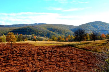 Sonbaharda Transilvanya ormanlarındaki tipik manzara. Romanya 'nın Banat kentinde Oravita ile Anina arasındaki demiryolu.