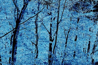 Sonbaharda Transilvanya ormanlarındaki tipik manzara. Romanya 'nın Banat kentinde Oravita ile Anina arasındaki demiryolu.