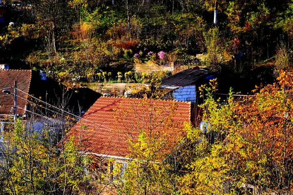 View Old Mining Train Way Oravita Anina Banat Transylvania Autumn — Stock Photo, Image