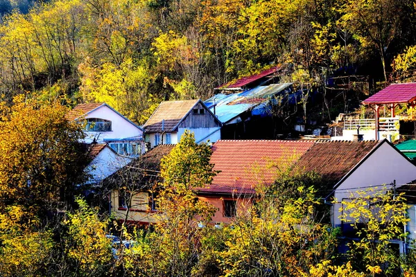 在奥拉维塔 阿尼纳 巴纳特 特兰西瓦尼亚路上的旧矿用火车上看到的景象 秋天的风景 — 图库照片