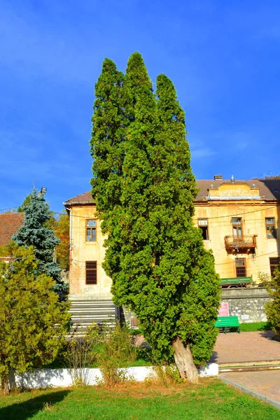 Typical Urban Landscape Village Oravita Banat Romania — Stock Photo, Image