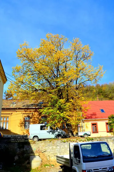 Oravita Anina Banat Transilvanya Daki Eski Maden Treninin Manzarası Sonbahar — Stok fotoğraf