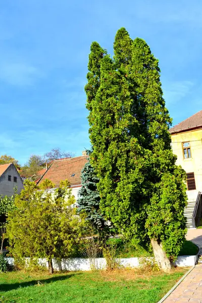 途中で古い鉱山列車からの眺めOravita Anina Banat Transylvania 秋の風景 — ストック写真