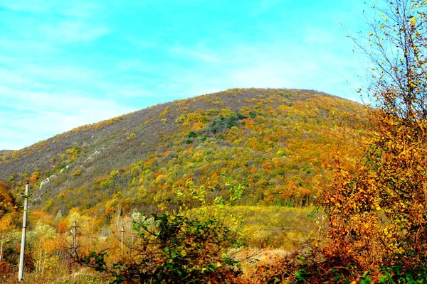 Typische Landschaft Wald Von Siebenbürgen Herbst Die Bahn Zwischen Oravita — Stockfoto