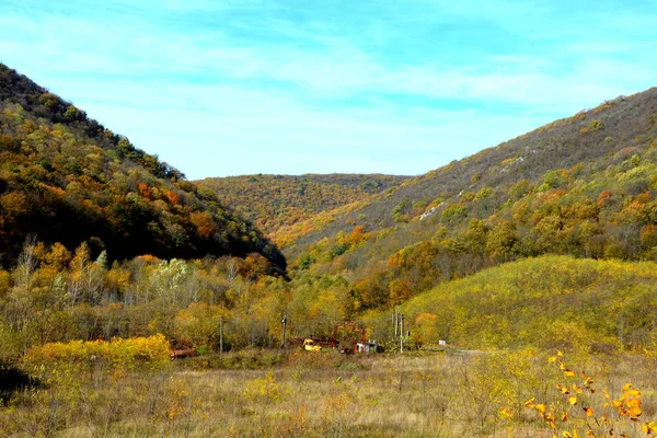 Paesaggio Tipico Nella Foresta Della Transilvania Autunno Ferrovia Tra Oravita — Foto Stock