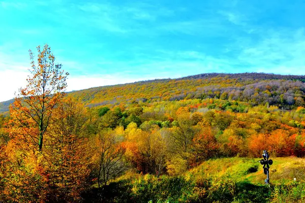 Typowy Krajobraz Lesie Siedmiogrodu Jesienią Kolej Między Oravitą Aniną Banat — Zdjęcie stockowe