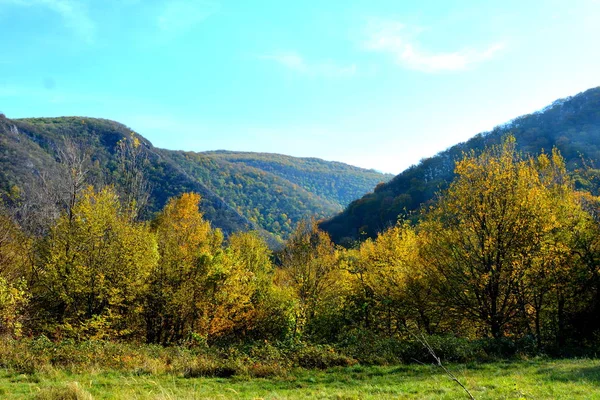 Typisch Landschap Het Bos Van Transsylvanië Herfst Spoorweg Tussen Oravita — Stockfoto