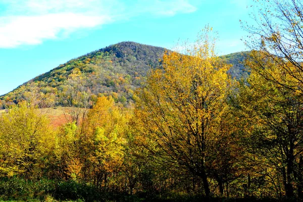 Typiskt Landskap Skogen Transsylvanien Hösten Järnvägen Mellan Oravita Och Anina — Stockfoto