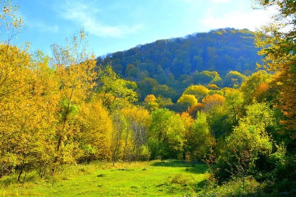 Typische Landschaft Wald Von Siebenbürgen Herbst Die Bahn Zwischen Oravita — Stockfoto