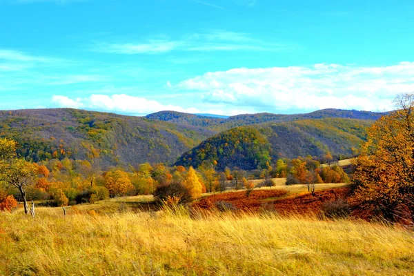 Typisch Landschap Het Bos Van Transsylvanië Herfst Spoorweg Tussen Oravita — Stockfoto