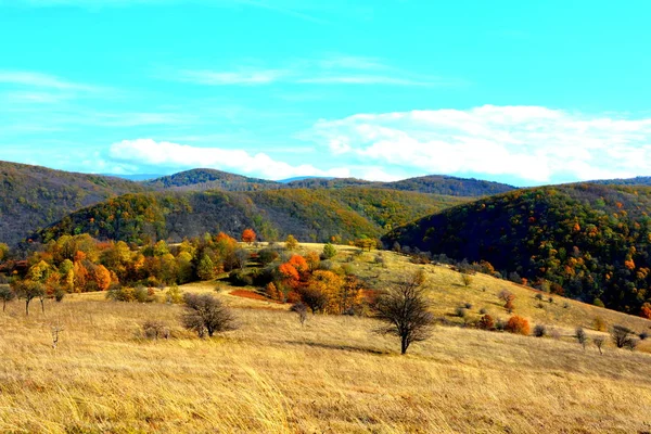 Typowy Krajobraz Lesie Siedmiogrodu Jesienią Kolej Między Oravitą Aniną Banat — Zdjęcie stockowe