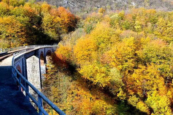 Paisaje Típico Bosque Transilvania Otoño Ferrocarril Entre Oravita Anina Banat — Foto de Stock