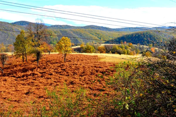 Typisch Landschap Het Bos Van Transsylvanië Herfst Spoorweg Tussen Oravita — Stockfoto