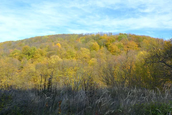 Paisaje Típico Bosque Transilvania Otoño Ferrocarril Entre Oravita Anina Banat —  Fotos de Stock