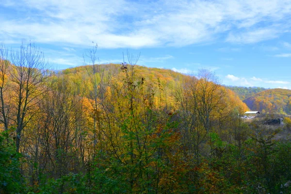 Paysage Typique Dans Forêt Transylvanie Automne Chemin Fer Entre Oravita — Photo