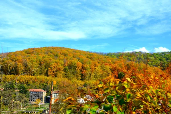 秋にはトランシルヴァニアの森の中で典型的な風景 ルーマニアのバナトにあるOravitaとAninaの間の鉄道 — ストック写真