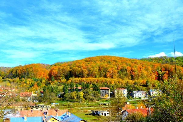 Typiskt Landskap Skogen Transsylvanien Hösten Järnvägen Mellan Oravita Och Anina — Stockfoto