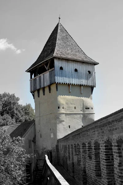 Befestigte Mittelalterliche Sächsische Evangelische Kirche Dorf Alma Vii Almen Transsilvanien — Stockfoto