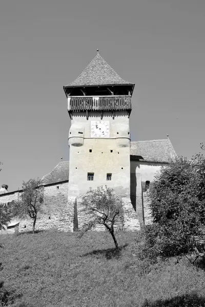 Крепость Средневековой Саксонской Евангельской Церкви Деревне Алма Вии Алмен Трансильвания — стоковое фото
