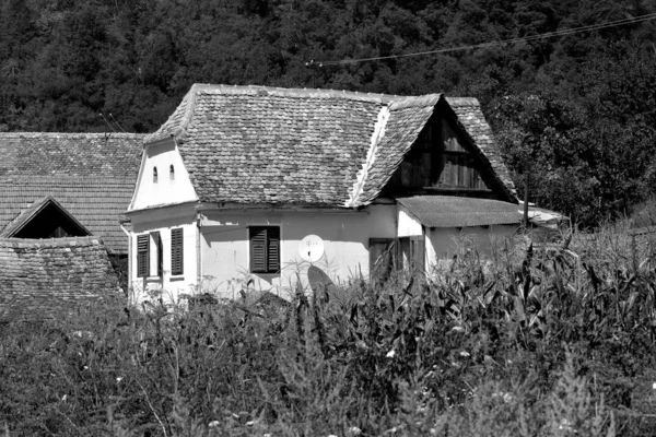 Типичный Сельский Пейзаж Крестьянские Дома Деревне Алма Вии Алмен Трансильвания — стоковое фото