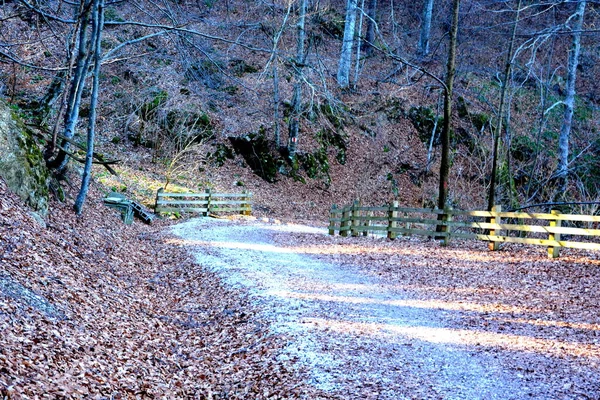 Estrada Para Inverno Estação Turística Poiana Brasov Brasov Uma Cidade — Fotografia de Stock