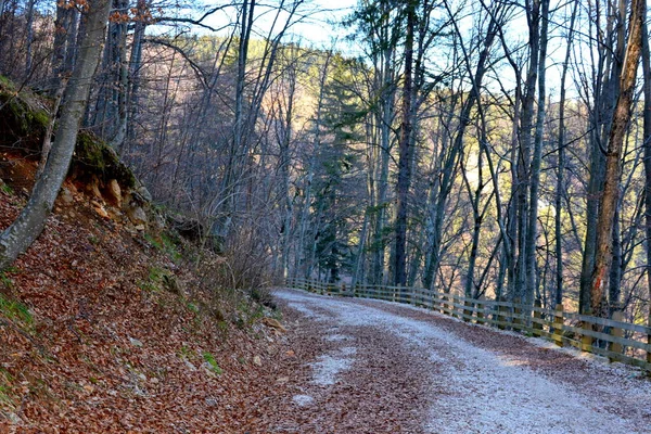 Cesta Zimě Turistické Stanice Poiana Brasov Brašova Město Ležící Rumunsku — Stock fotografie