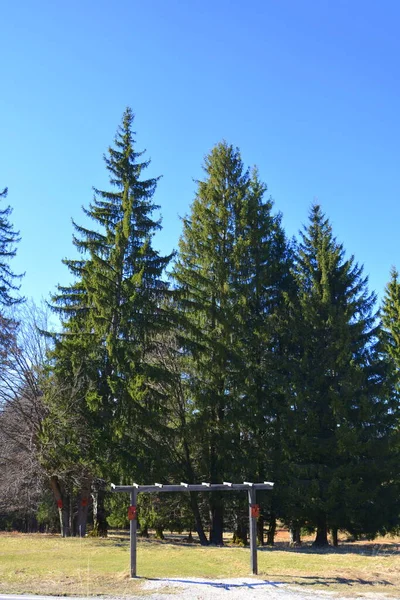 Camino Invierno Estación Turística Poiana Brasov Brasov Una Ciudad Situada —  Fotos de Stock