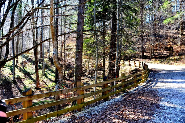 Cesta Zimě Turistické Stanice Poiana Brasov Brašova Město Ležící Rumunsku — Stock fotografie