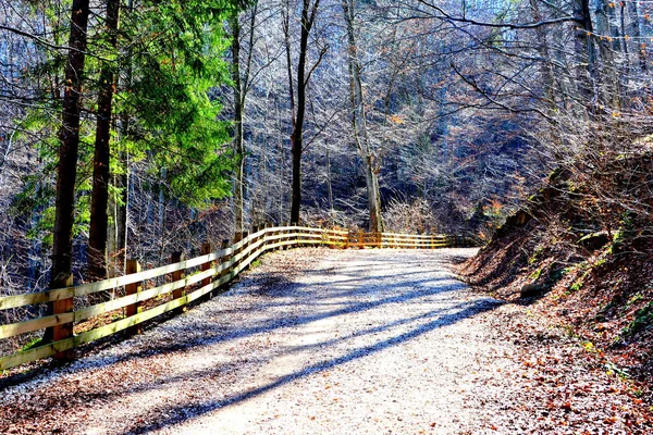 Estrada Para Inverno Estação Turística Poiana Brasov Brasov Uma Cidade — Fotografia de Stock