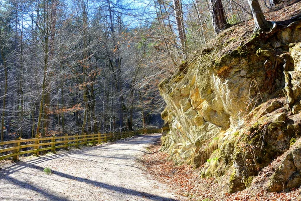 Piatra Craiului Paysage Typique Des Carpates Dans Les Forêts Transylvanie — Photo