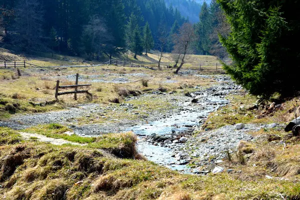 Piatra Feliului Типичный Пейзаж Карпатских Гор Лесах Трансильвании Румыния Зеленый — стоковое фото