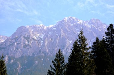 Piatra Craiului. Romanya 'nın Transilvanya kentindeki Karpat Dağları' ndaki tipik manzara. Yazın ortasında, güneşli bir günde yeşil bir manzara.