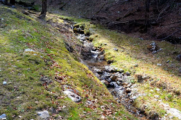 Piatra Craiului Romanya Nın Transilvanya Kentindeki Karpat Dağları Ndaki Tipik — Stok fotoğraf