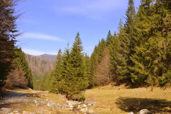 Piatra Craiului Romanya Nın Transilvanya Kentindeki Karpat Dağları Ndaki Tipik — Stok fotoğraf