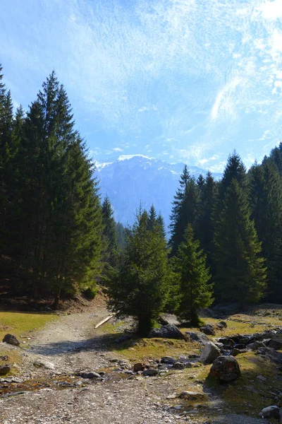 Piatra Craiului Paisaje Típico Las Montañas Cárpatos Los Bosques Transilvania — Foto de Stock