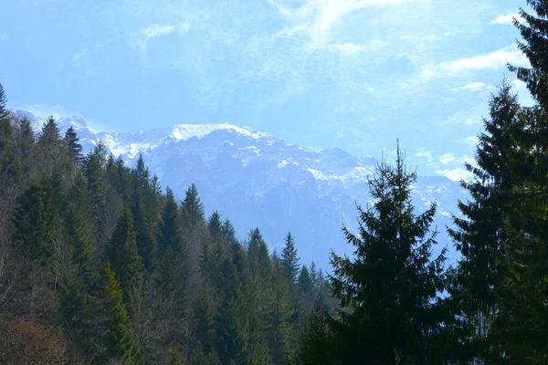 Piatra Craiului Paesaggio Tipico Nelle Montagne Dei Carpazi Nelle Foreste — Foto Stock