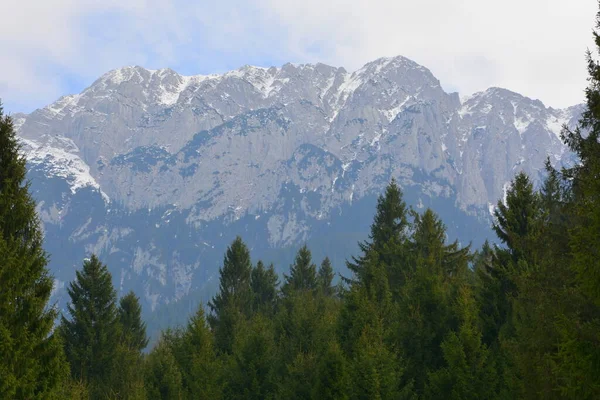 Piatra Feliului Типичный Пейзаж Карпатах Лесах Трансильвании Румыния Зеленый Пейзаж — стоковое фото