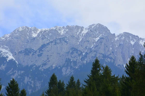 Piatra Feliului Типичный Пейзаж Карпатах Лесах Трансильвании Румыния Зеленый Пейзаж — стоковое фото