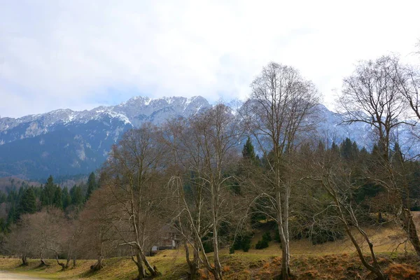 Piatra Craiului Paisaje Típico Las Montañas Cárpatos Los Bosques Transilvania — Foto de Stock