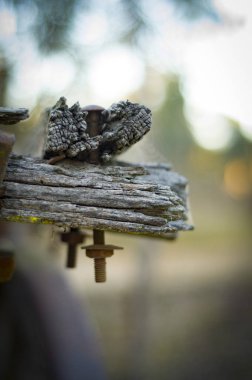 Kereste ve üzerindeki eski Tarım makineleri