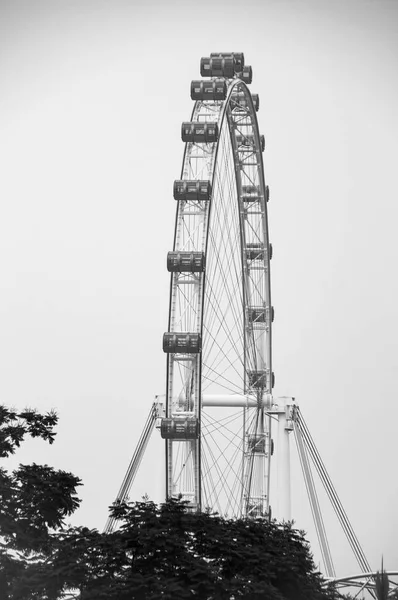 Singapore eye in black and white