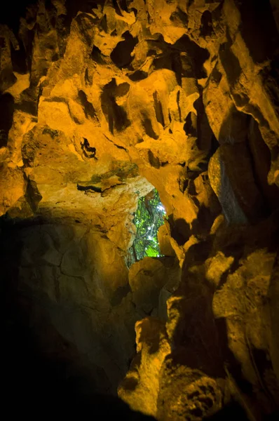 Vista Bosque Desde Cueva Long Bay Vietnam — Foto de Stock