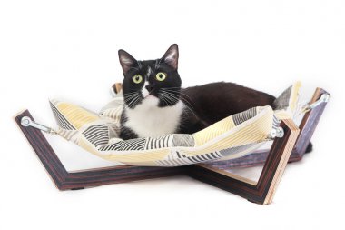 Bir kedi için hamak