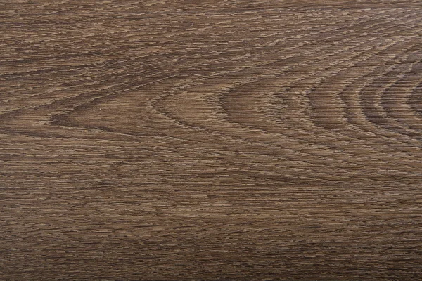 Nouveau parquet en chêne, texture de plancher en bois — Photo