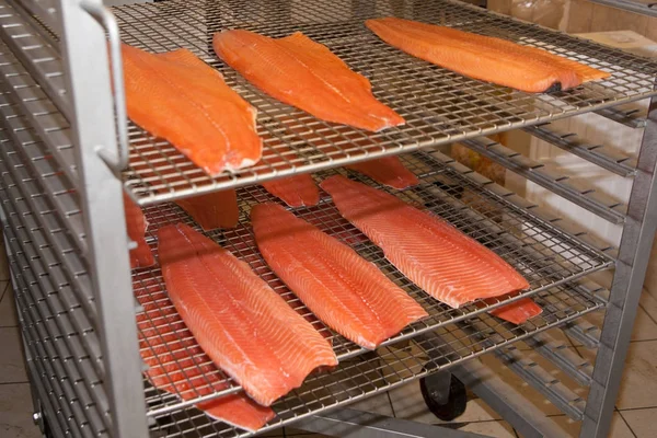 Ensalada de pescado - salmón a la parrilla y verduras —  Fotos de Stock
