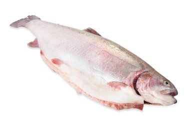 Taze çiğ ton balığı steaks.isolated beyaz arka plan, yukarıdaki görünümünden, yakın çekim