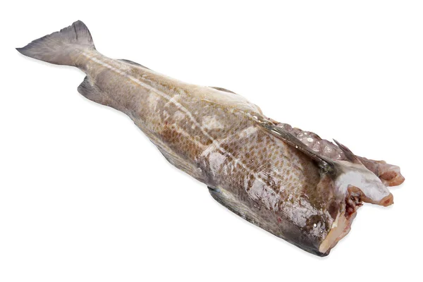 Färsk rå tonfisk steaks.isolated på vit bakgrund, vy från ovan, närbild — Stockfoto