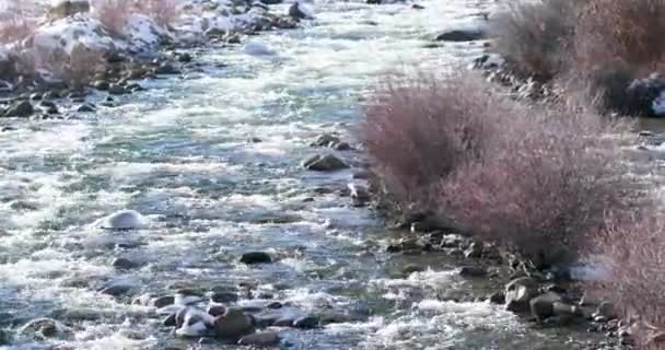 Egy Közelkép Serpenyőben Gyorsan Mozgó Vízről Lake Creekben Twin Lakes — Stock videók