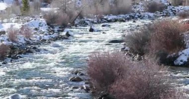 Lake Creek 'in su akıntısına yakın çekim, Twin Lakes yakınlarında..
